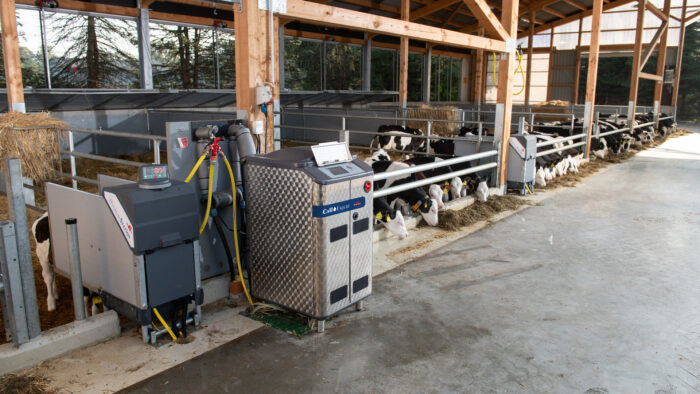 This cover picture shows the CalfExpert calf feeder and its associated HygieneStation in a calf barn.