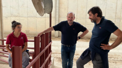 Luz, Jordi and Miguel in conversation